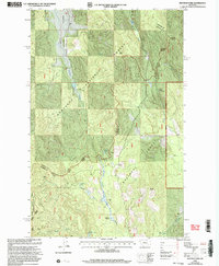 Download a high-resolution, GPS-compatible USGS topo map for Mantrap Fork, MT (2003 edition)