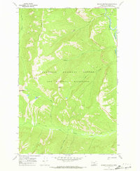 preview thumbnail of historical topo map of Flathead County, MT in 1970
