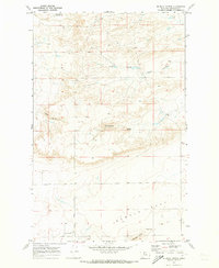 Download a high-resolution, GPS-compatible USGS topo map for Mc Bridy Spring, MT (1973 edition)