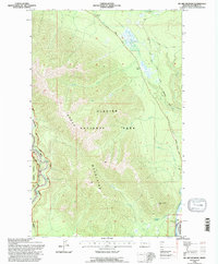 Download a high-resolution, GPS-compatible USGS topo map for Mc Gee Meadow, MT (1997 edition)