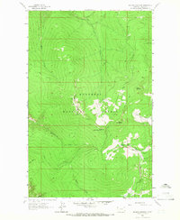 Download a high-resolution, GPS-compatible USGS topo map for Mc Guire Mountain, MT (1966 edition)