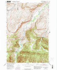 Download a high-resolution, GPS-compatible USGS topo map for Mc Leod Basin, MT (1981 edition)
