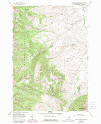 Download a high-resolution, GPS-compatible USGS topo map for Medicine Lodge Peak, MT (1989 edition)