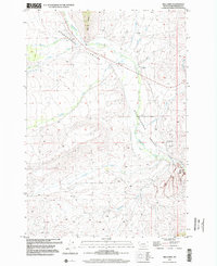 Download a high-resolution, GPS-compatible USGS topo map for Mill Point, MT (2002 edition)