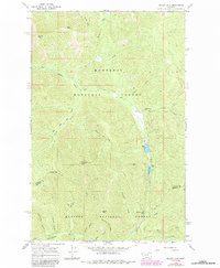 Download a high-resolution, GPS-compatible USGS topo map for Miller Lake, MT (1984 edition)