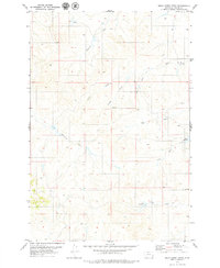 Download a high-resolution, GPS-compatible USGS topo map for Mills Creek West, MT (1979 edition)
