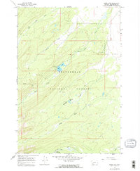 Download a high-resolution, GPS-compatible USGS topo map for Miner Lake, MT (1970 edition)