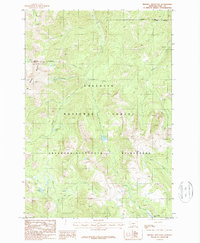 Download a high-resolution, GPS-compatible USGS topo map for Mineral Mountain, MT (1987 edition)