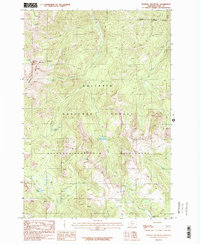 Download a high-resolution, GPS-compatible USGS topo map for Mineral Mountain, MT (1987 edition)