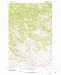Download a high-resolution, GPS-compatible USGS topo map for Mitchell Mountain, MT (1975 edition)