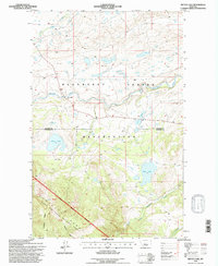 preview thumbnail of historical topo map of Glacier County, MT in 1995