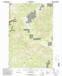 Download a high-resolution, GPS-compatible USGS topo map for Mixes Baldy, MT (1997 edition)