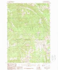 Download a high-resolution, GPS-compatible USGS topo map for Monitor Peak, MT (1987 edition)