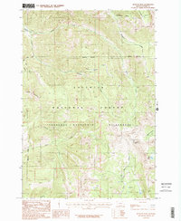Download a high-resolution, GPS-compatible USGS topo map for Monitor Peak, MT (1987 edition)