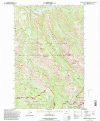 Download a high-resolution, GPS-compatible USGS topo map for Morningstar Mountain, MT (1997 edition)