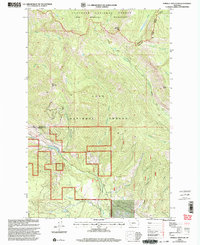 Download a high-resolution, GPS-compatible USGS topo map for Morrell Mountain, MT (2003 edition)
