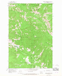 Download a high-resolution, GPS-compatible USGS topo map for Morrell Mountain, MT (1968 edition)