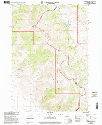 Download a high-resolution, GPS-compatible USGS topo map for Morrison Lake, MT (2002 edition)
