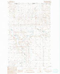 Download a high-resolution, GPS-compatible USGS topo map for Mosquito Springs, MT (1984 edition)