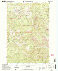 Download a high-resolution, GPS-compatible USGS topo map for Mount Blackmore, MT (2005 edition)