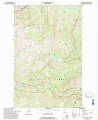 Download a high-resolution, GPS-compatible USGS topo map for Mount Bradley, MT (1997 edition)