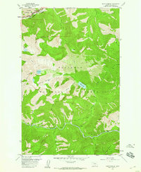 Download a high-resolution, GPS-compatible USGS topo map for Mount Bradley, MT (1960 edition)