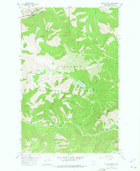 Download a high-resolution, GPS-compatible USGS topo map for Mount Bradley, MT (1975 edition)