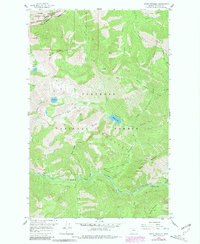 Download a high-resolution, GPS-compatible USGS topo map for Mount Bradley, MT (1981 edition)