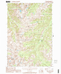 Download a high-resolution, GPS-compatible USGS topo map for Mount Cowen, MT (1988 edition)