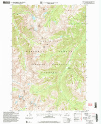 Download a high-resolution, GPS-compatible USGS topo map for Mount Cowen, MT (2005 edition)