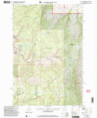 Download a high-resolution, GPS-compatible USGS topo map for Mount Edith, MT (2004 edition)