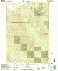 Download a high-resolution, GPS-compatible USGS topo map for Mount Ellis, MT (2005 edition)