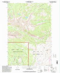 Download a high-resolution, GPS-compatible USGS topo map for Mount Haggin, MT (1998 edition)