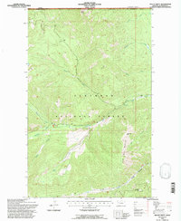 Download a high-resolution, GPS-compatible USGS topo map for Mount Hefty, MT (1997 edition)