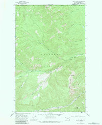 Download a high-resolution, GPS-compatible USGS topo map for Mount Hefty, MT (1984 edition)