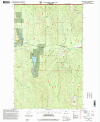 Download a high-resolution, GPS-compatible USGS topo map for Mount Henry, MT (2000 edition)