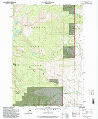 Download a high-resolution, GPS-compatible USGS topo map for Mount Powell, MT (1998 edition)