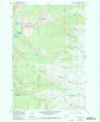 Download a high-resolution, GPS-compatible USGS topo map for Mount Powell, MT (1980 edition)