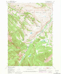Download a high-resolution, GPS-compatible USGS topo map for Mount Rae, MT (1981 edition)