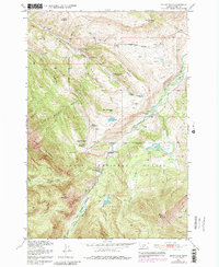 Download a high-resolution, GPS-compatible USGS topo map for Mount Rae, MT (1981 edition)