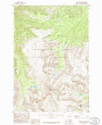 Download a high-resolution, GPS-compatible USGS topo map for Mount Wood, MT (1986 edition)