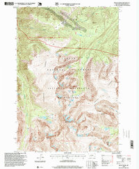 Download a high-resolution, GPS-compatible USGS topo map for Mount Wood, MT (1999 edition)