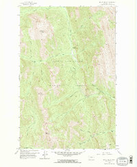 Download a high-resolution, GPS-compatible USGS topo map for Mount Wright, MT (1968 edition)