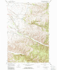 Download a high-resolution, GPS-compatible USGS topo map for Mountain House, MT (1987 edition)