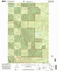 Download a high-resolution, GPS-compatible USGS topo map for Murr Peak, MT (2003 edition)