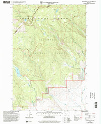 Download a high-resolution, GPS-compatible USGS topo map for Mussigbrod Lake, MT (2002 edition)