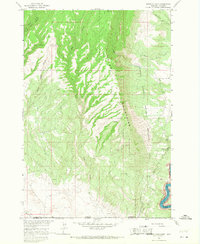 preview thumbnail of historical topo map of Carbon County, MT in 1964