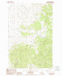 Download a high-resolution, GPS-compatible USGS topo map for New Year, MT (1986 edition)