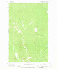 Download a high-resolution, GPS-compatible USGS topo map for Newton Mountain, MT (1975 edition)