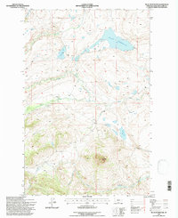 preview thumbnail of historical topo map of Lewis and Clark County, MT in 1995